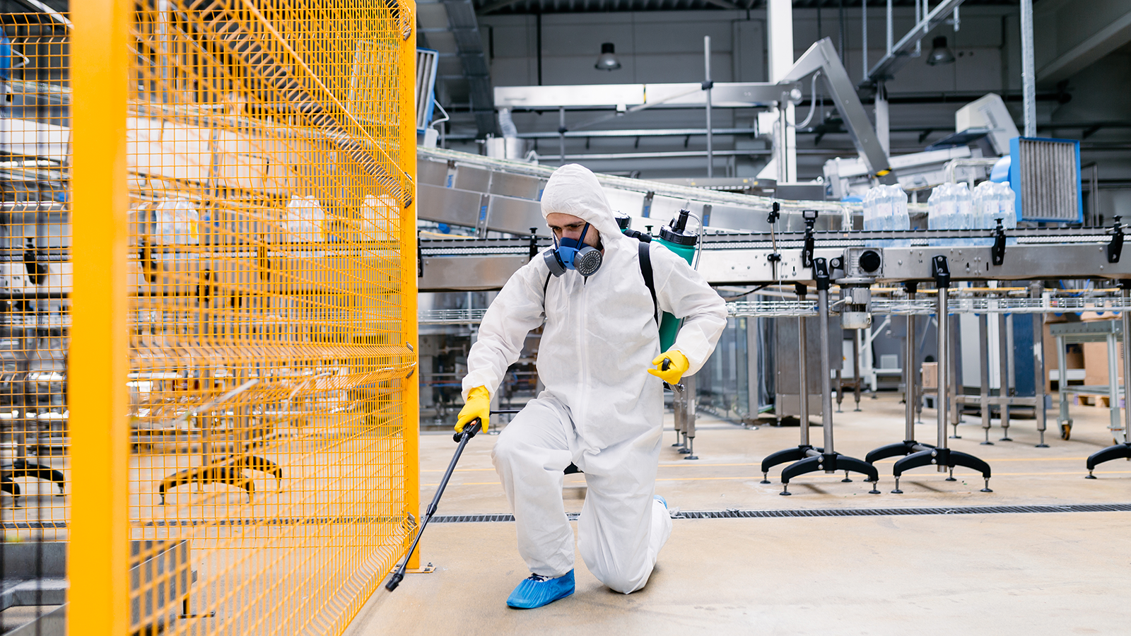 Los Beneficios de Usar Productos de Limpieza Ecológicos en Casa y la Oficina